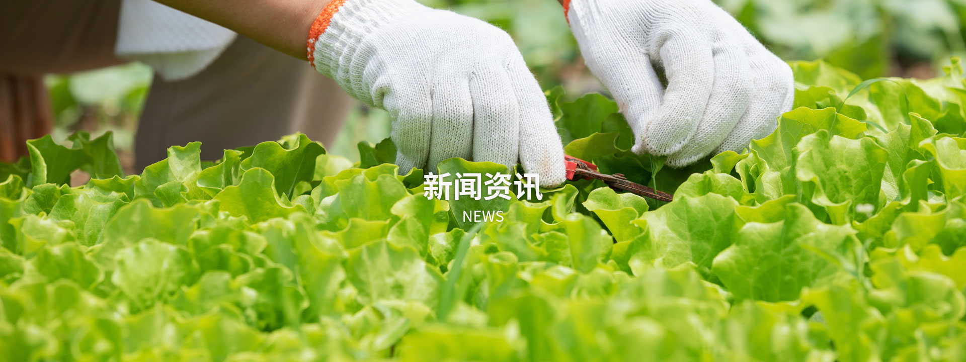 米乐m6官网登录入口:新闻资讯